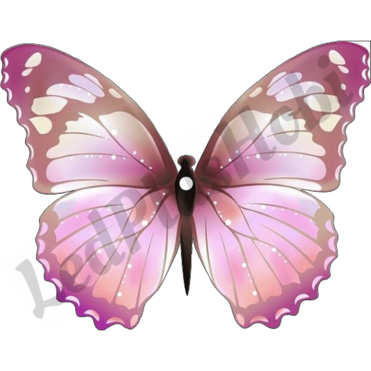 Pembeli  Kelebek Ahşap Figür