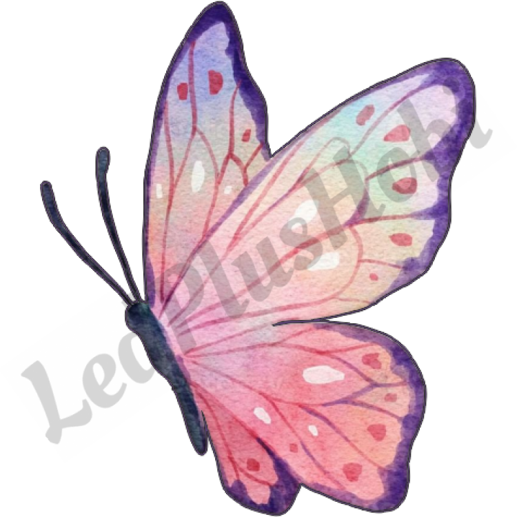 Pembeli Morlu  Kelebek Ahşap Figür