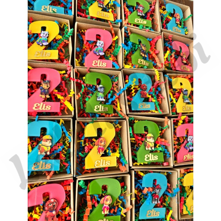 Paw Petrol Figürlü Kutulu Magnet