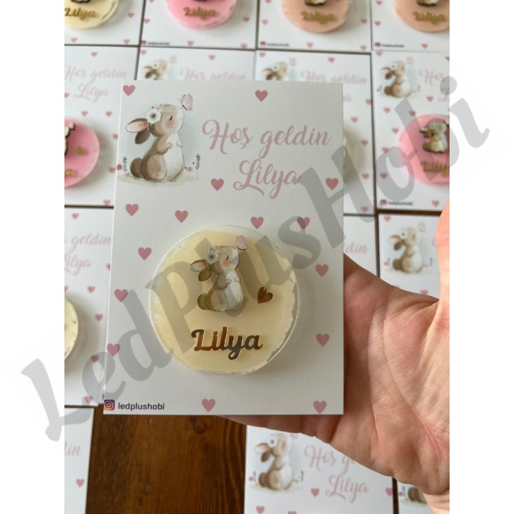 Kartlı - Tavşan Temalı Figürlü Pleksi Magnet