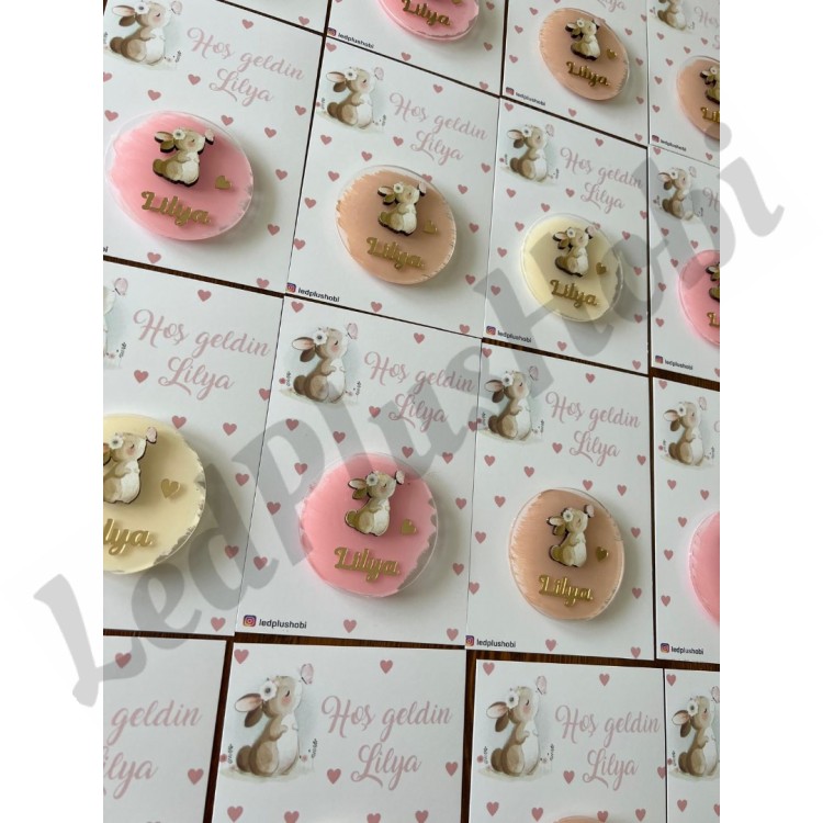 Kartlı - Tavşan Temalı Figürlü Pleksi Magnet